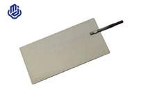 Electrod de platină pentru ionizator de apă