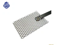 Pt acoperite de titan Anodes