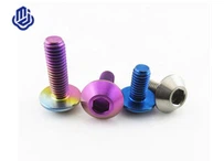 Șuruburi de bicicletă din titan